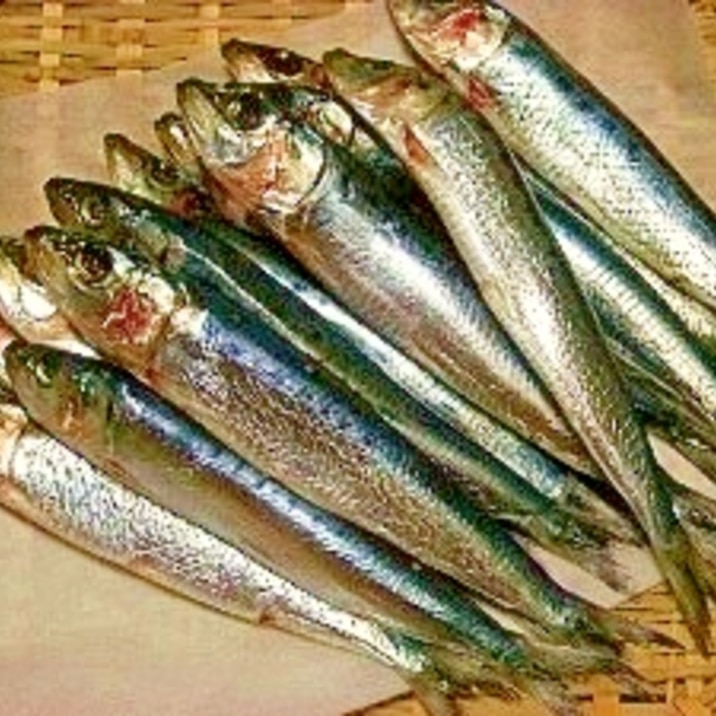 いわし 丸干 し し いわし 丸干